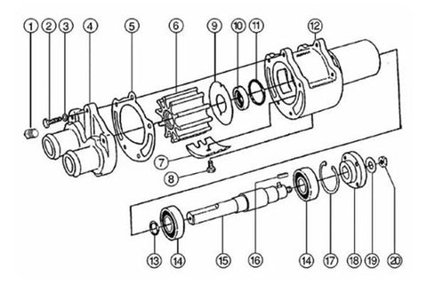 Impeller Replacement 43210